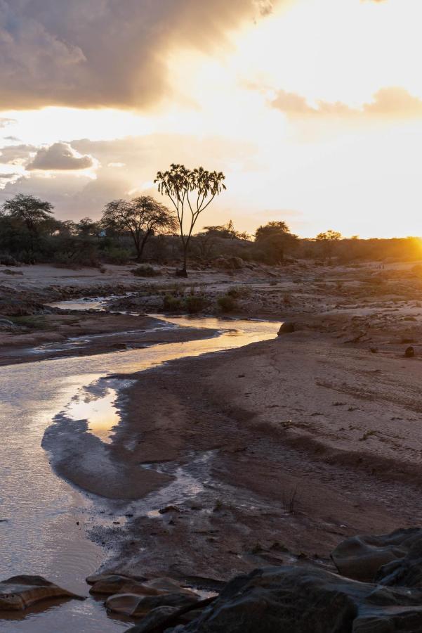 Sarova Shaba Game Lodge Archers Post المظهر الخارجي الصورة